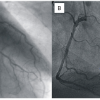 Figure 24